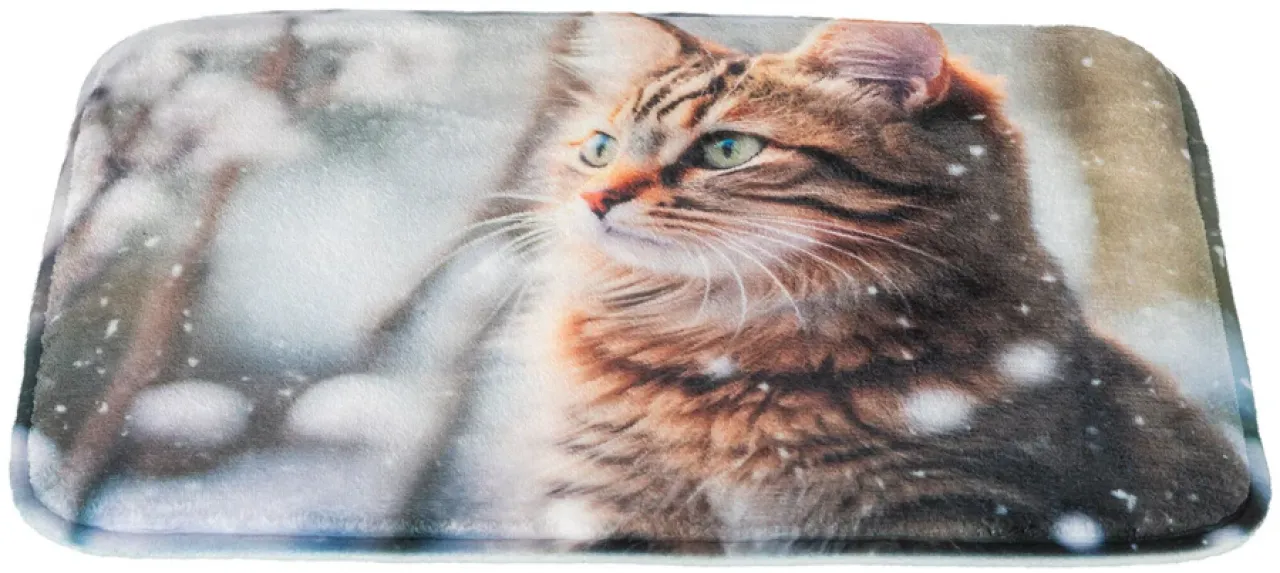 Liegematte Katze